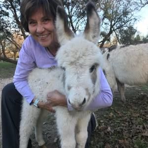 Meet your Posher, Dawn